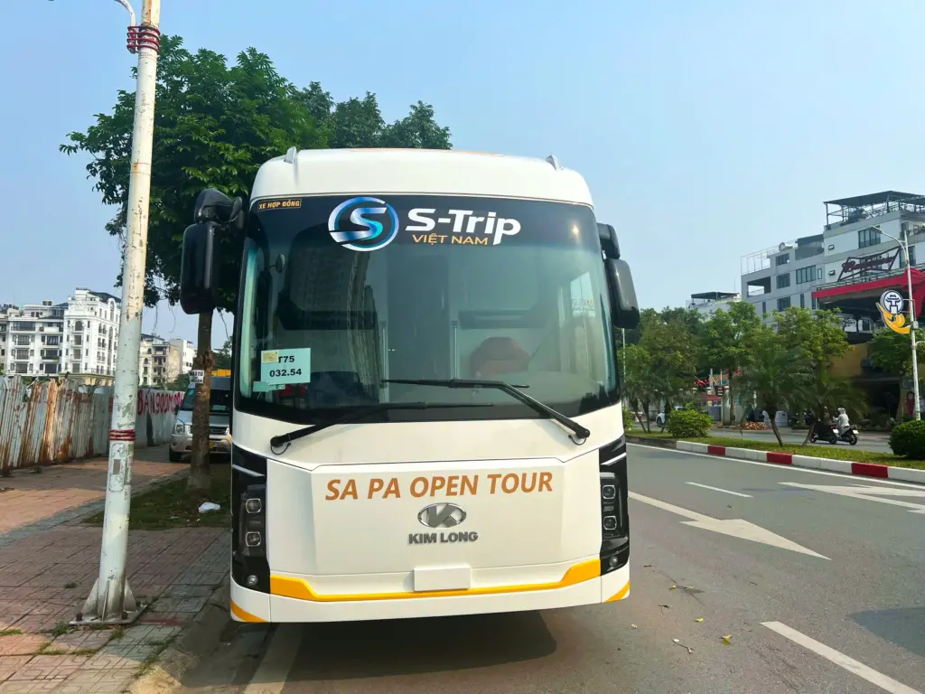 갤러리 이미지 11