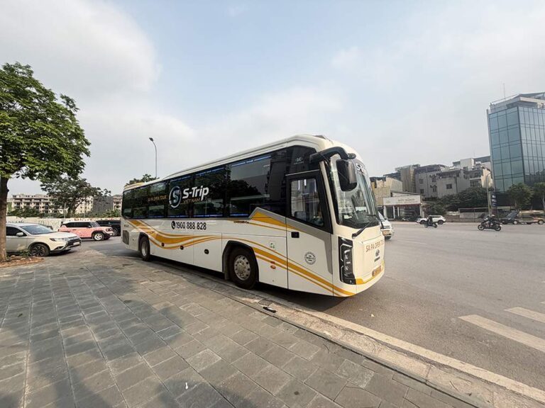 S-Trip Vietnam Là Gì? Dịch Vụ Và Các Tuyến Xe